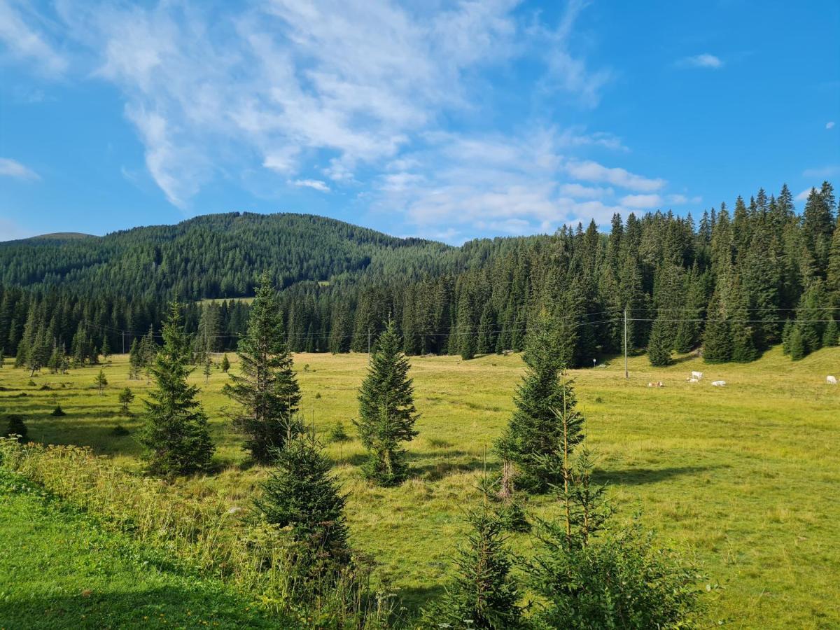 Apartmenthaus Almwiese Flattnitz Exteriér fotografie
