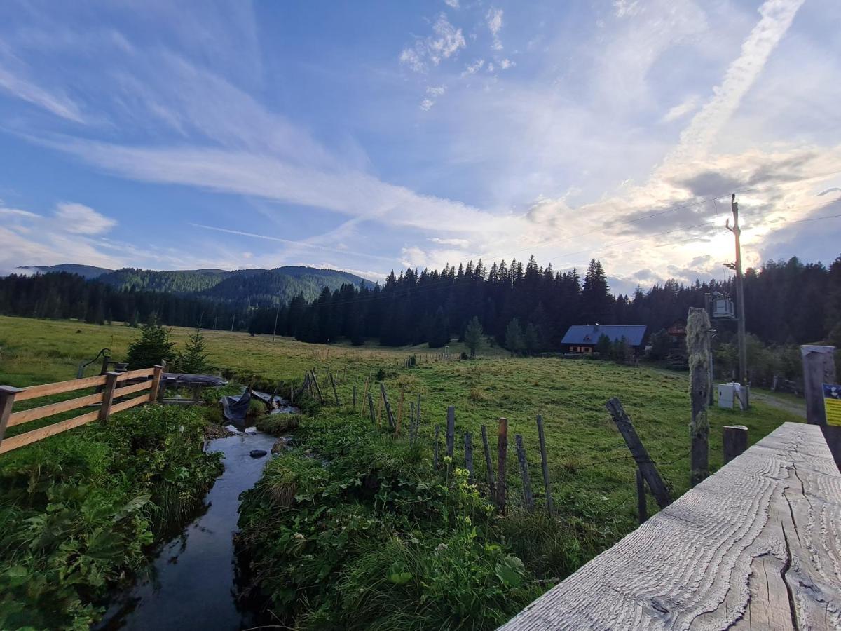 Apartmenthaus Almwiese Flattnitz Exteriér fotografie