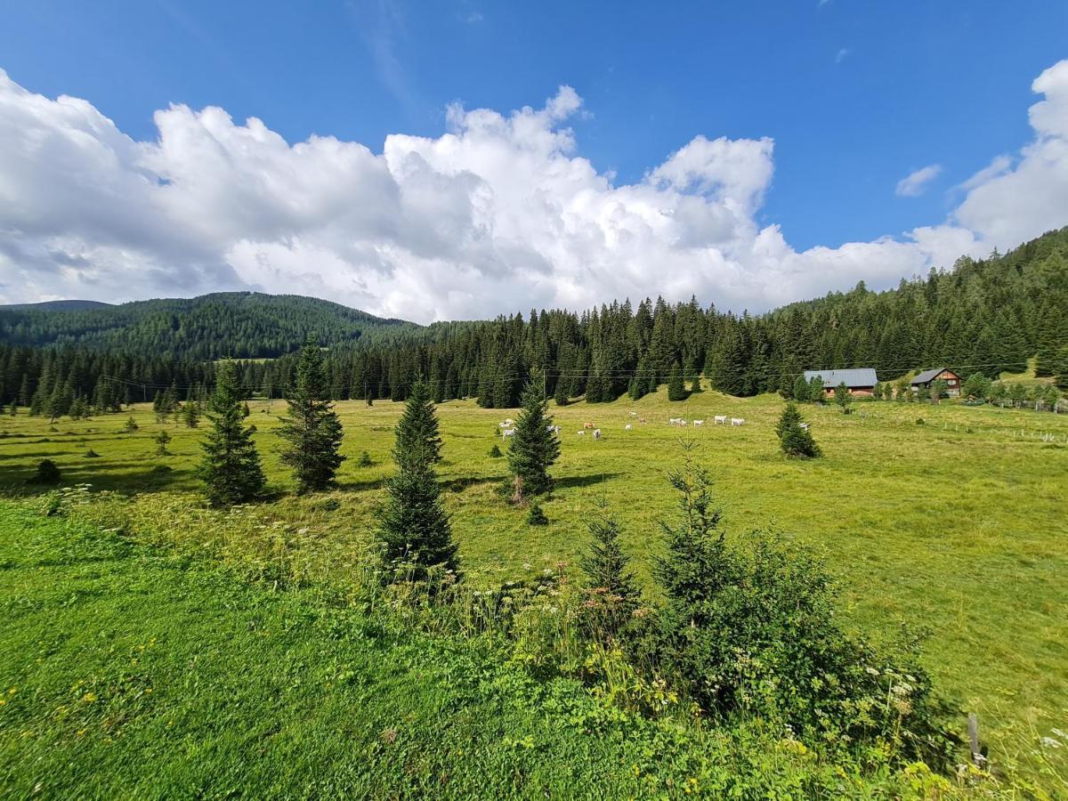 Apartmenthaus Almwiese Flattnitz Exteriér fotografie