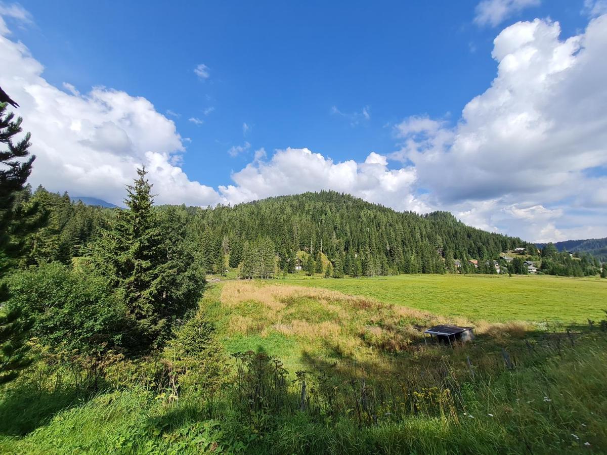 Apartmenthaus Almwiese Flattnitz Exteriér fotografie