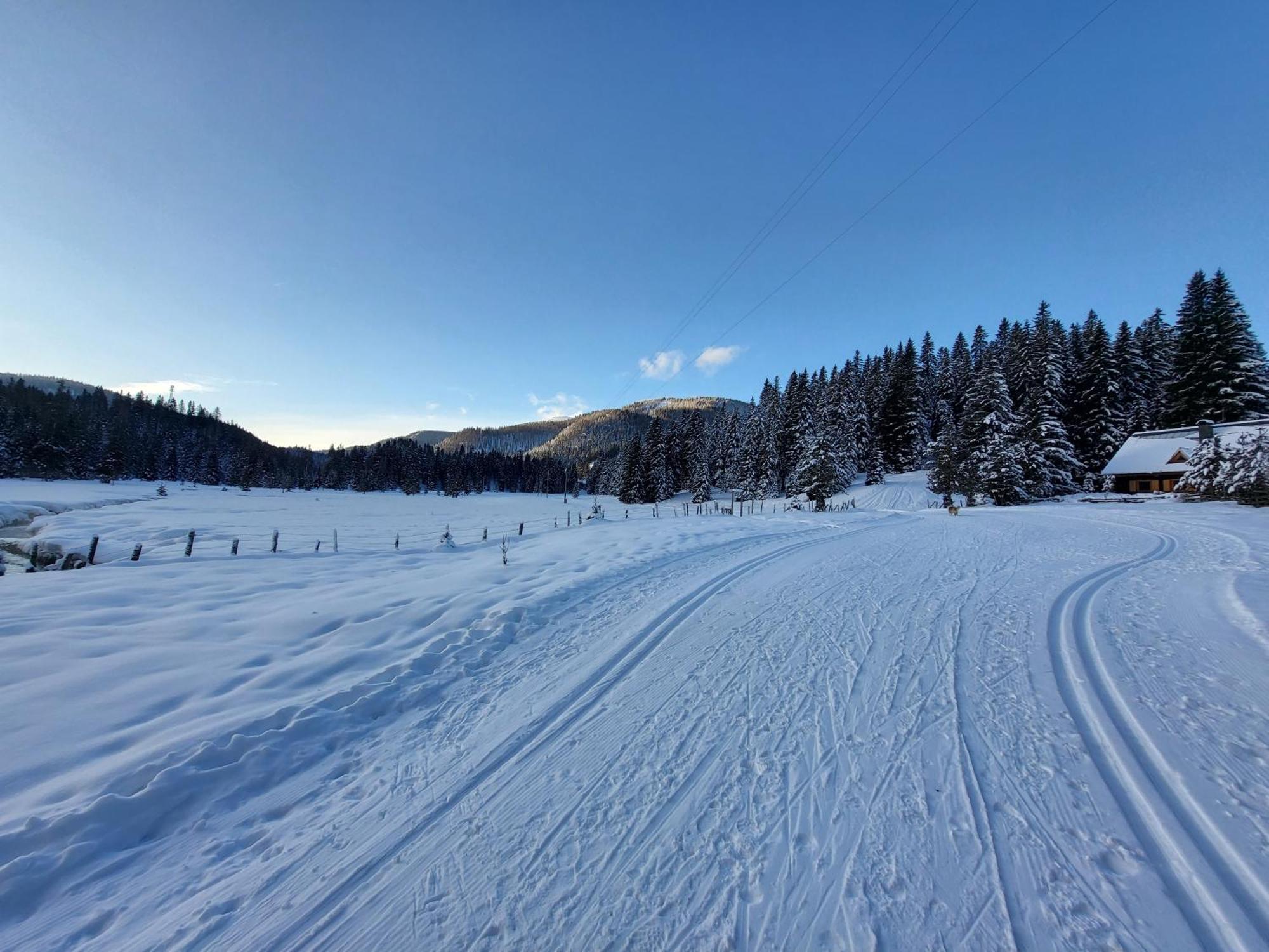 Apartmenthaus Almwiese Flattnitz Exteriér fotografie